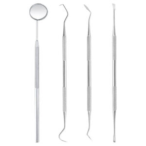 GSHLLO 4pcs Teeth Cleaning Set