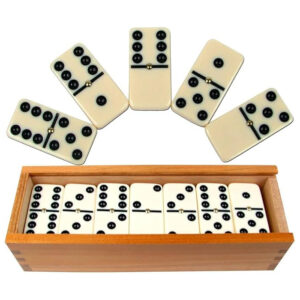 ECVV 28pcs Double-Six Domino Set