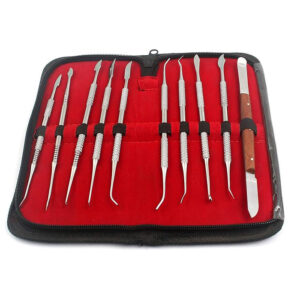 OdontoMed2011 10pcs Wax Carver Set